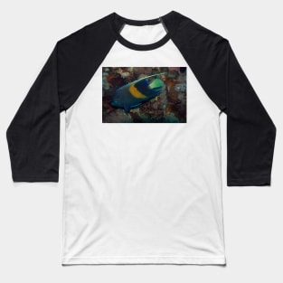 angelfish Baseball T-Shirt